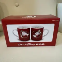 【新品】東京ディズニーリゾート マグカップ 2個セット　クリスマス　2023