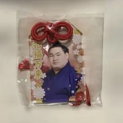 Item thumbnail for item 29f93dc8-9b2d-4c66-ab70-3d389443ce73