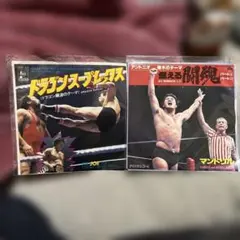 2026年最新】藤波辰巳、の人気アイテム - メルカリ