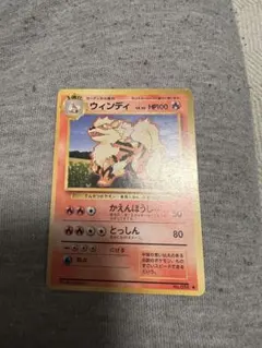 【極上品】PSA10 ウインディ イントロパック 旧裏 高騰中 超希少 極上品】PSA10 ウインディ イントロパック 旧裏 高騰中 超希少 - メルカリ