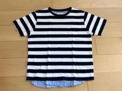 GLOBAL WORK ボーダーTシャツ ネイビー×ホワイト XL