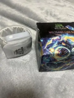 2025年最新】ゼンジン未到とヴェルトラウム ライトバンドの人気