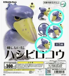 動じない鳥、ハシビロコウ 3種セット売り