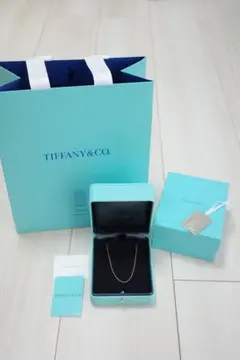 Tiffany & Co. ネックレス プラチナチェーン 41cm - メルカリ