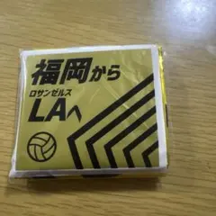 バレーボールアジア選手権2026福岡 スティックバルーン