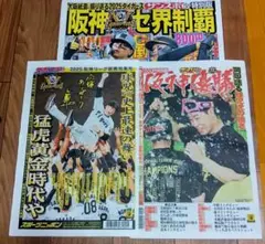 阪神タイガース2025特集号　3紙