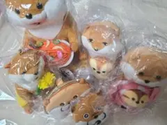 可愛い嘘のカワウソ　ぬいぐるみ ほか　セット
