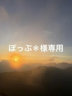 ぽっぷ＊様専用　フォーシスアンドカンパニー　ブライダルインナーセット