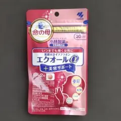 Item thumbnail for item 8c9655ac-83c9-43cd-8157-1730f1bea742