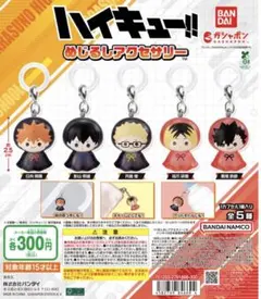 ハイキュー 目印キーホルダー 日向翔陽
