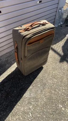 Item thumbnail for item 4900f725-54cb-4ad6-b959-b02f30d283ea