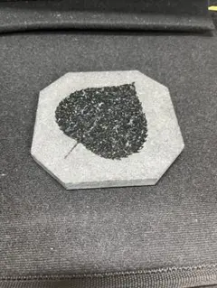 Item thumbnail for item 561e9183-87f0-48cb-8be4-2dc6e15f99da