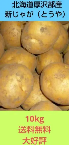 新じゃが　北海道厚沢部産　とうや　10kg 代々続く農家から発送　大好評‼️のサムネイル