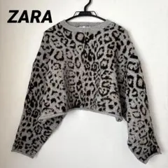 【ZARA】レオパード柄クロップドニット トップス