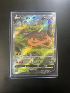 リザードンV SAR S12a VSTARユニバース 211/172 『完美品』