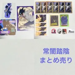 ヒロアカ 常闇踏陰 まとめ売り 19点 アクリルスタンド