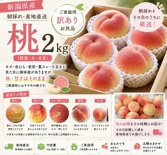 農家直送 岡山県産清水白桃 4キロ - メルカリ