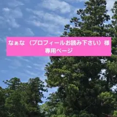 なぁな （プロフィールお読み下さい）様専用ページです