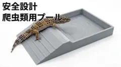 2026年最新】爬虫類ケージの人気アイテム - メルカリ
