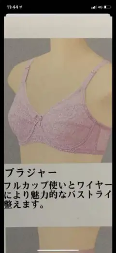 シャンデール フルカップ 65F