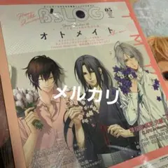 本誌のみ B's-LOG 2022年5月号 ビーズログ あんスタ表紙 オトメイト