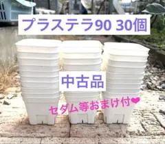 2025年最新】スリット鉢 90の人気アイテム - メルカリ 