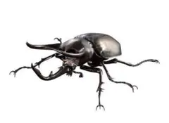 いきもの大図鑑アドバンス コーカサスオオカブト ジャワ島　バンダイ　フィギュア