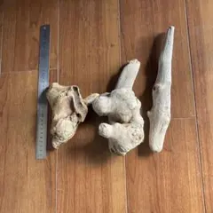 流木 3点セット 工作素材