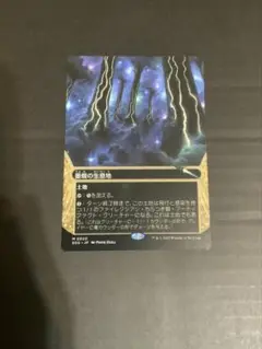 mtg 初版Foil 墨蛾の生息地　日本語 3枚セット MTG 墨蛾の生息地 Inkmoth Nexus FOIL ボーダーレス 星景 - メルカリ