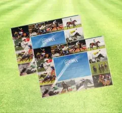 JRA 2025 カレンダー 愛すべきスターホースたち 2点セット