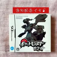 【DS】ポケットモンスター ホワイト_ Pokémon Company