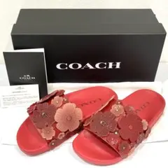 ◆ COACH コーチ サンダル ソフィスライド ティーローズ レッド 未使用のサムネイル