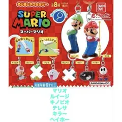 スーパーマリオ めじるしアクセサリー　ガチャ　6個セット　9