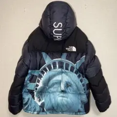 レアMサイズ Supreme THE NORTH FACE 19AW自由の女神