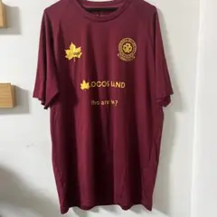 2025年最新】大学ラグビージャージの人気アイテム - メルカリ