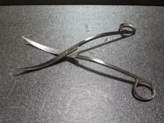 ADA プロシザース ウェーブ Amazonで買ってみた！ADAのプロシザース・ウェーブっぽいハサミ