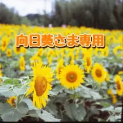 向日葵さま専用