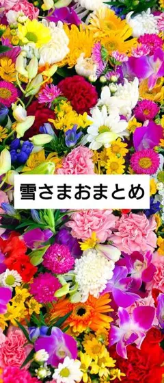 【大きいサイズOK】サーフ＊ROXY＊スエットミニスカート