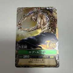 ワンピーベリーマッチ　ロブ・ルッチ　GR
