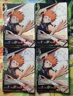 日向翔陽 頂 バボカ