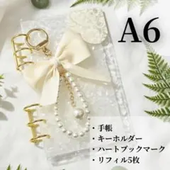 家計管理 バインダー A6 家計簿 シール SnowMan ラウール 白