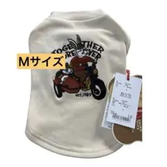 Item thumbnail for item 667ff1be-60fc-4b3e-aa7b-b7d1784c3a68