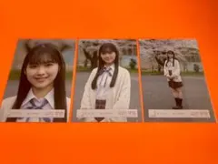 櫻坂46 山川宇衣 生写真 四期生お披露目制服 コンプ＋ヨリ - メルカリ