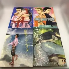 ゲイコミック　４冊セット　つくも号・松本いなき　他　ボーイズラブ　レトロコミック