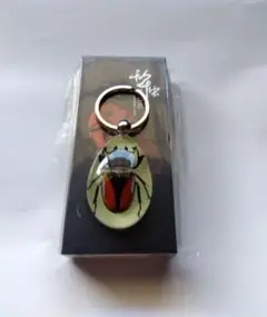 昆虫キーホルダー　クワガタ(メス)