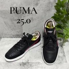 Item thumbnail for item ddf9edb4-2291-43ee-8ddd-511a2640a7ec