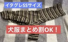 最終値下げ 新品 イタグレ服 イタグレSSサイズのサムネイル
