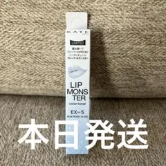 新色　数量限定　リップモンスターカラートナー　EX-5