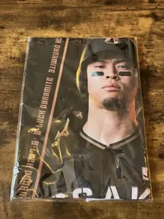阪神タイガース B-LUCK DYNAMITE ユニフォーム 侍タオル 佐藤輝明 B-LUCK DYNAMITE SERIES 阪神百貨店限定 タオル 佐藤選手 - メルカリ