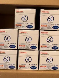 TOSHIBA LDA9L-G/60W